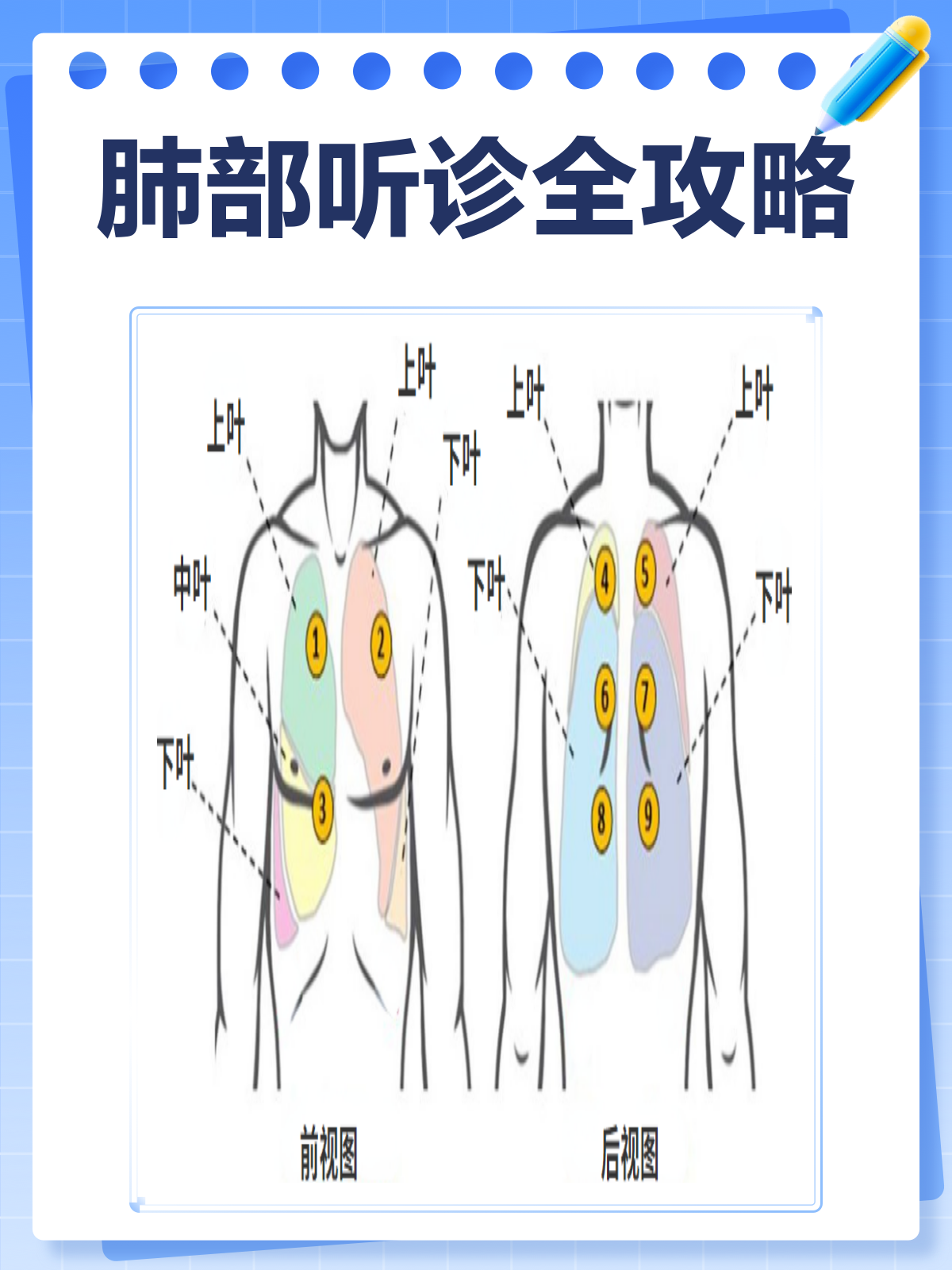 肺部听诊全攻略!👂部位顺序一文搞懂🔍